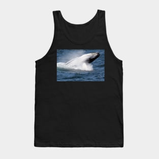Humpback whale breaching off Eden, NSW Tank Top